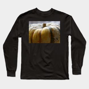 Soft Focus Close-Up of a Small Light-Yellow Pumpkin Long Sleeve T-Shirt